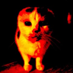 evil