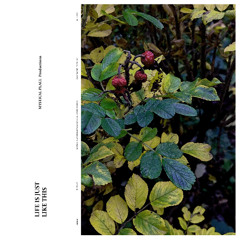 Life Is Just Like This