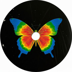 SANT’ANA - BUTTERFLY