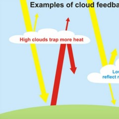 BabyFace Gunna x ShredGang Mone - Check Out (Official Music Video)
