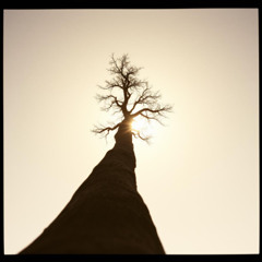 Song To Divine Love (Country_Praise)