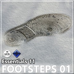 Sample - Essentials 11 FOOTSTEPS 01