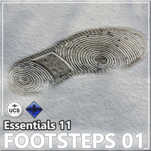 Sample - Essentials 11 FOOTSTEPS 01