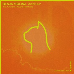 PREMIERE: Benja Molina - Acid Sun (KaZkO Remix) [PURRFECTION]