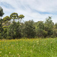 present moment - Part I