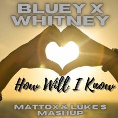 How Will I Know (Mattox & Luke S Mashup)
