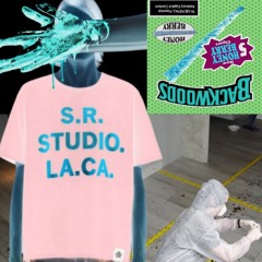 never (prod. richarrd)