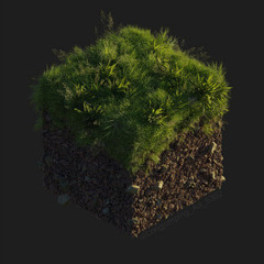 Block of Earth