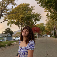 Drivers License (cover)