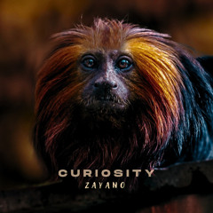 Curiosity [free download]