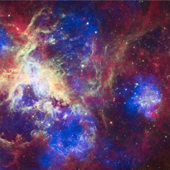 NEBULA (Buzzm526 & Didrop)