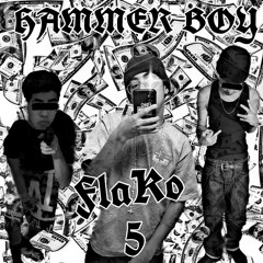 Flako5- HammerBoy