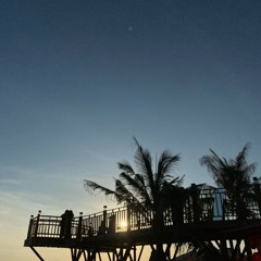 Rolliee | Van ( old track )