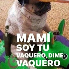 La Dinastía - Vaquero (Letra) __ mami_ soy tu vaquero ----(MP3_160K).mp3