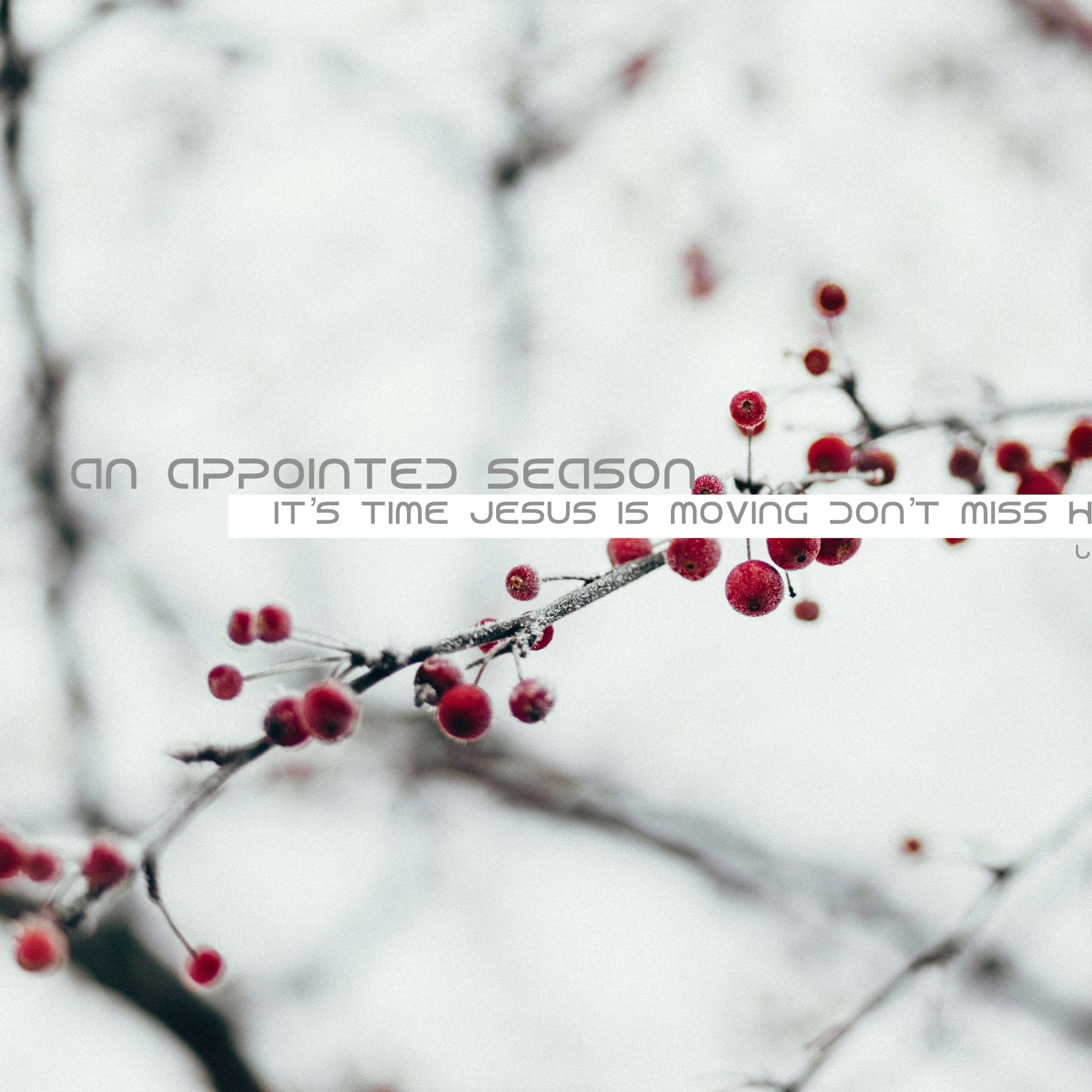 AN APPOINTED SEASON - IT'S TIME JESUS IS MOVING DON'T MISS HIM episode artwork