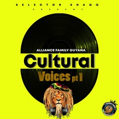 Cultural Voices Pt. 1 Mixed By Selector Shaqq