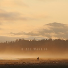 Otherwise Fine - If You Want It