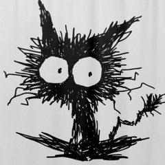 sorry guys i did it again (cover)