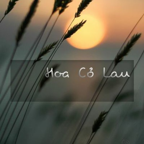 nhạc chill