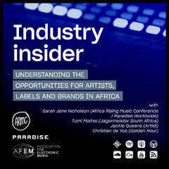 AFEM Industry Insider - Understanding the opportunities for artists, brands and labels in Africa