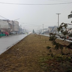 no lo quiero procesar (tit1)