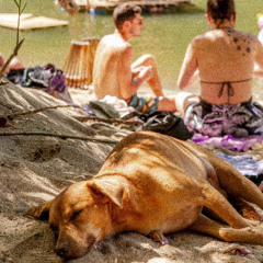 Morning - Ambient / Chill