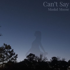 Moose - Cant Say