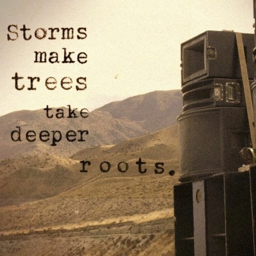 Storms make trees take deeper roots