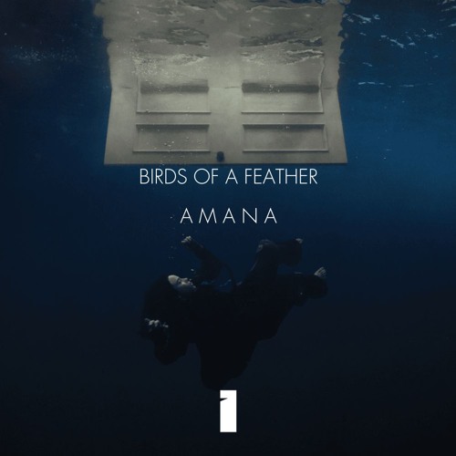 BIRDS OF A FEATHER / AMANA (BOBBY SANTONI MASHUP) [FREE DOWNLOAD]
