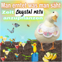 FEIERN!!!
