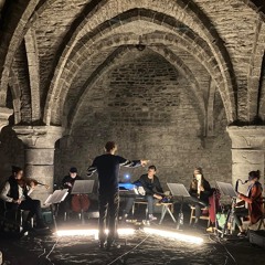 Il sangue del grano (Replay Duivelsteen oct2022) Nemo ensemble & electronics