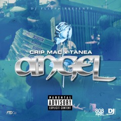 Dj Flippp x Cripmac X Tanea - Angel