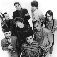 OINGO BOINGO: BEST OF (MEGAMIX)