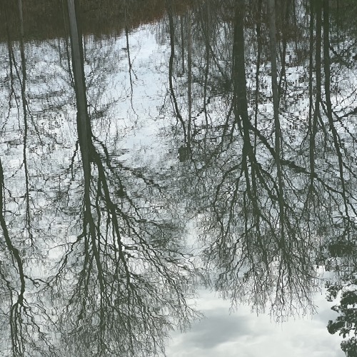 Stream Sonar by 𝓗𝓮𝓻𝓪𝓵𝓭𝓻𝔂 Listen online for free on SoundCloud