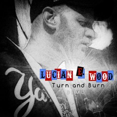 Turn and Burn (demo)