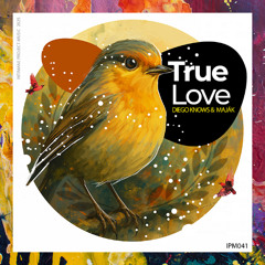 PREMIERE: Diego Knows & Majak — True Love (Jay Tripwire Transistor Rhythm Mix)