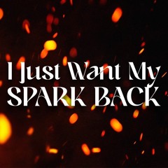 I Just Want My Spark Back