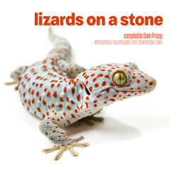 Lizards On A Stone