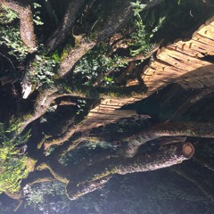 Pas À L'horizontale En Fait JHA & LT _version stereo