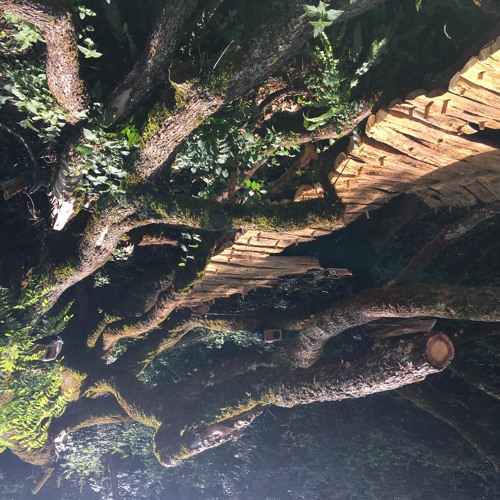 Pas À L'horizontale En Fait JHA & LT _version stereo