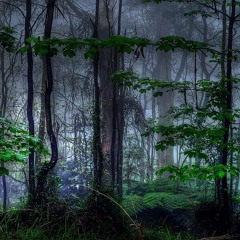 27 May 2023 - After Hours Organic - Indie Set