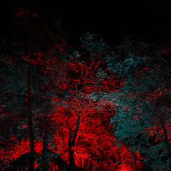 Kuwaq Yaku (Free Download)