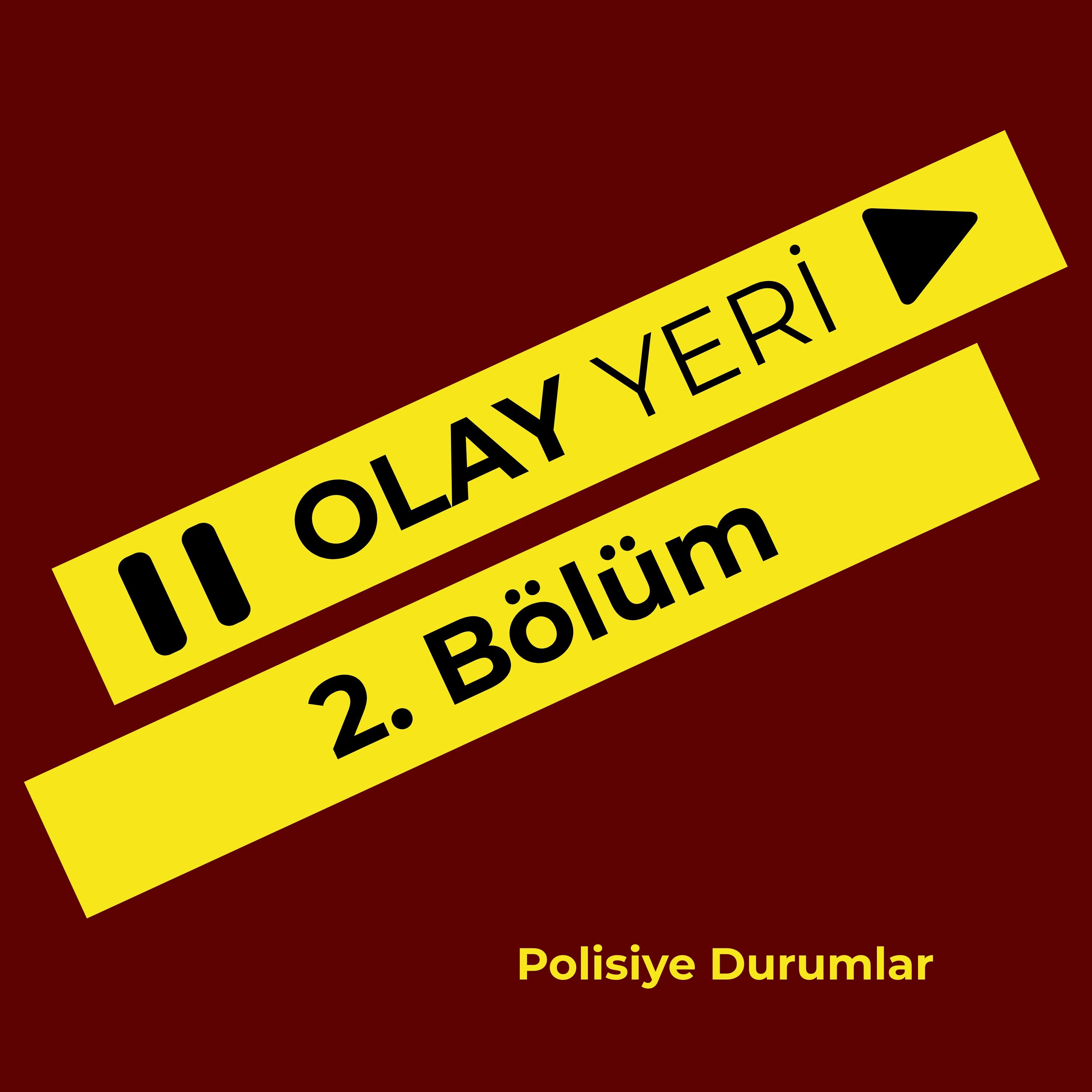 Bölüm 2 2019 Yılı Yerli Polisiye Gündemi