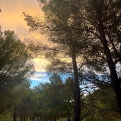 6AM SUNRISE #3