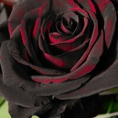 The Splash On Your Dress (Feat. Giselh)