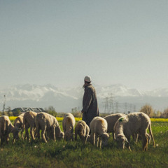 You are my Shepherd - Gert Holle - Ulfa 201025