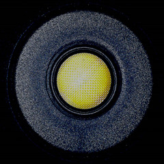 Guilty Of All Treachery