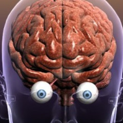 check out ur mind