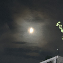 너목보 막내작가 잊지말아요