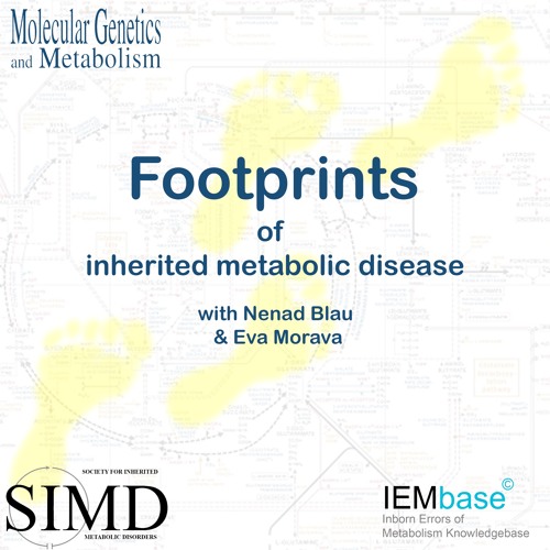 Footprints of IMD: Metabolic cardiovascular disease... with Carlos Ferreira
